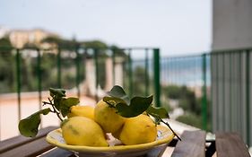 Terrazza Mediterranea